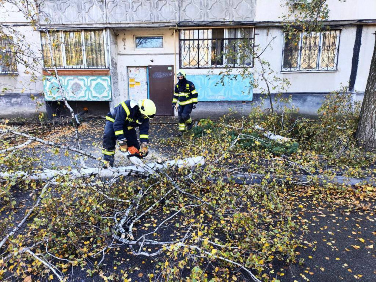 В Україні вирує негода, є загиблі й поранені – про наслідки розповіли в МВС