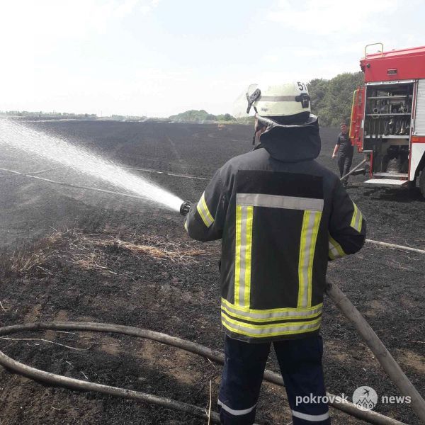 В экосистеме Покровского района произошел масштабный пожар