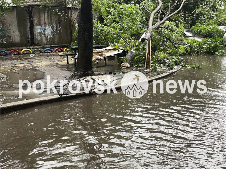 Негода пронеслася Покровськом: повалені дерева, багато районів без світла