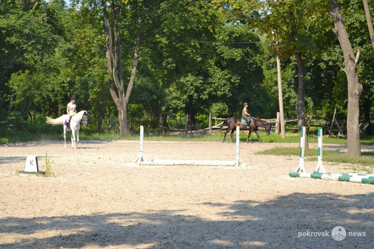 С любовью к лошадям: о достижениях, сложностях и планах конного клуба в Покровске