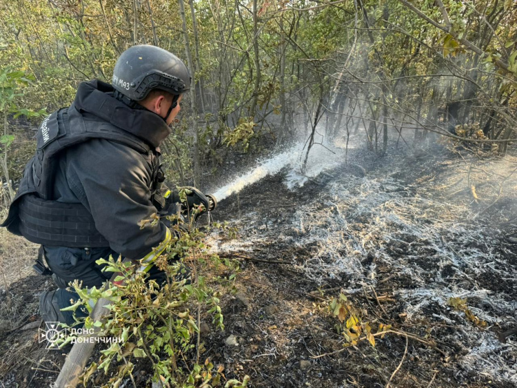 У Лисівці рятувальники ліквідували пожежу, що виникла внаслідок обстрілу