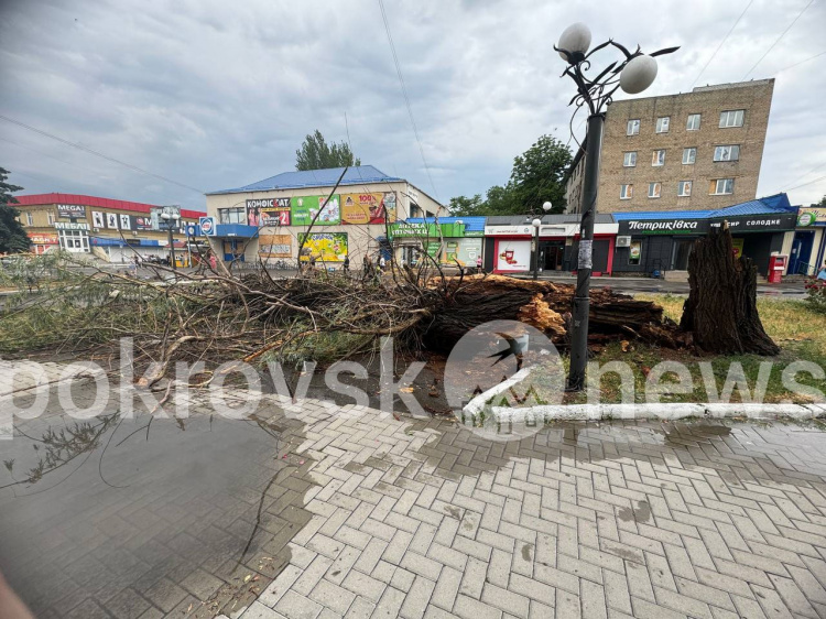 Випробування стихією: у Покровську оперативно почали усувати наслідки негоди (сюжет)