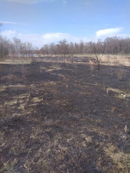 В Покровске установлен поджигатель сухой травы возле парка «Юбилейный»