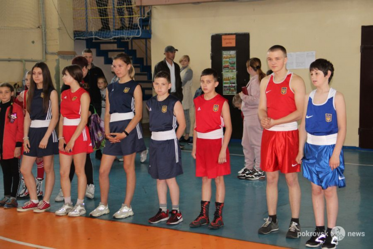 В Покровске проходит региональный турнир по боксу