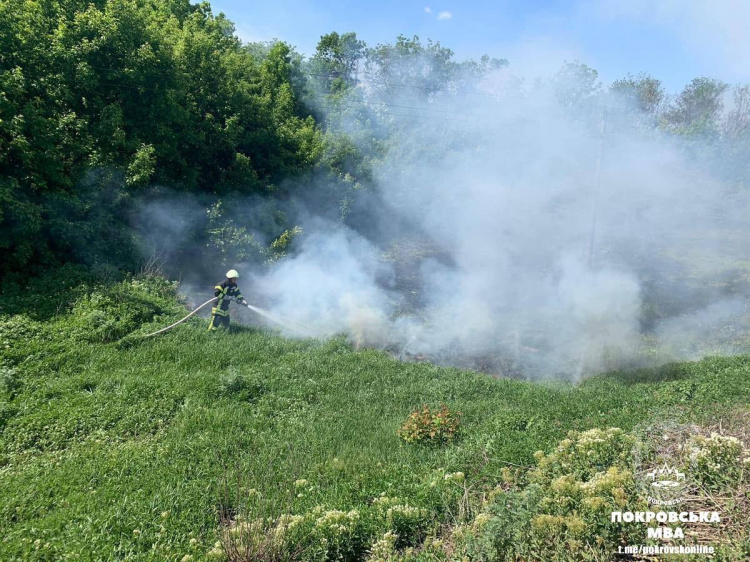 Добровільна пожежно-рятувальна команда Покровська ліквідувала займання в екосистемі