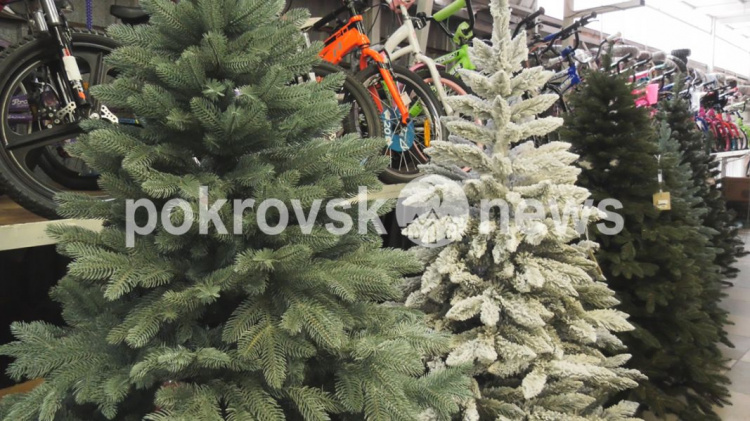 У Покровську вже можна придбати живі новорічні ялинки