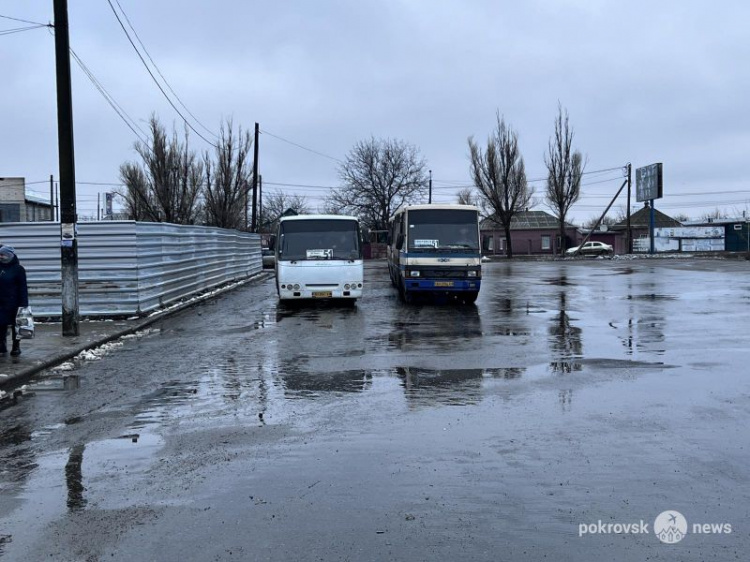 О междугородном автобусном сообщении в Покровске