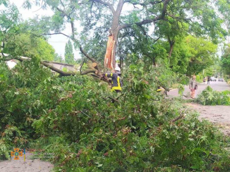 Минулої доби рятувальники Донеччини 10 разів прибирали дерева та гілки, що впали внаслідок негоди