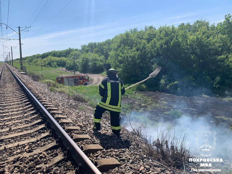 Добровільна пожежно-рятувальна команда Покровська ліквідувала займання в екосистемі