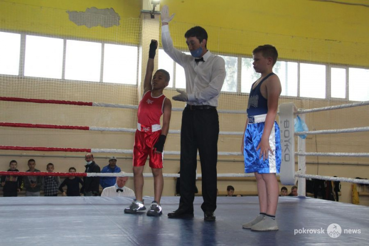 В Покровске проходит региональный турнир по боксу