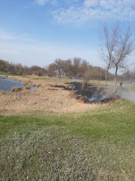 У Покровську виявлено ще одного підпалювача очерету біля парку «Ювілейний»
