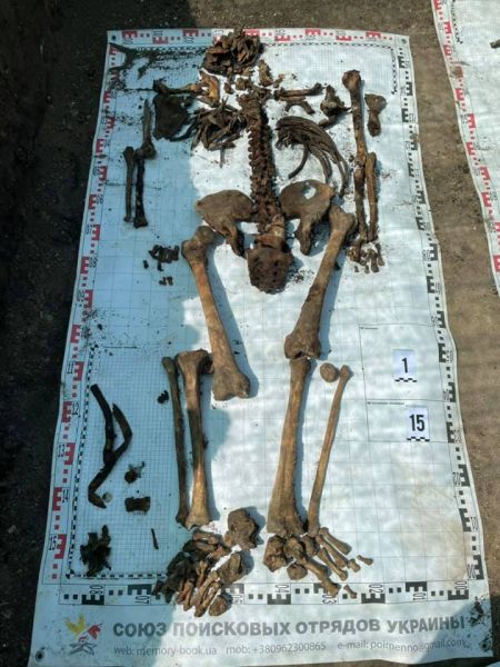 В Доброполье обнаружены останки воинов Второй мировой