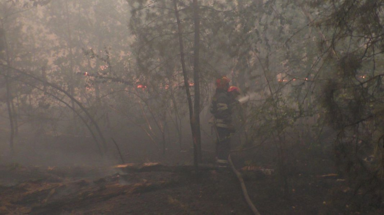 Про пожежу на Луганщині: вогонь пройшов близько 5 тисяч га