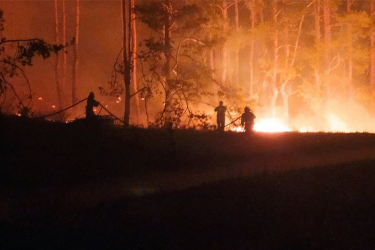 Кількість жертв пожеж на Луганщині збільшилась