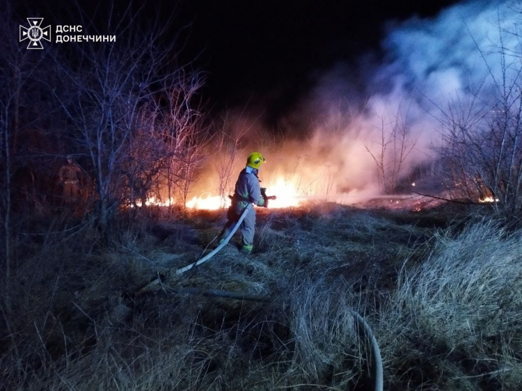 Не випалюйте! 12 пожеж в екосистемах загасили рятувальники Донеччини за добу