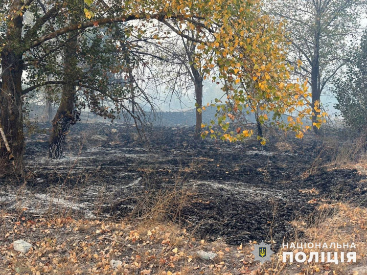 Дві людини загинули, п’ятеро поранені: наслідки російських обстрілів на Донеччині за добу