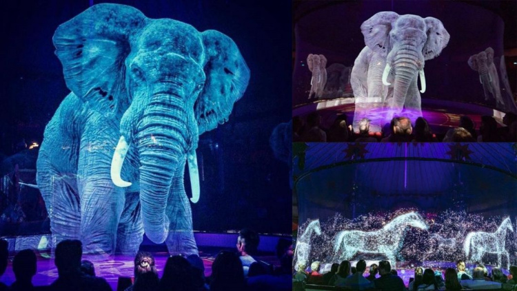 В немецком цирке вместо животных выступают голограммы