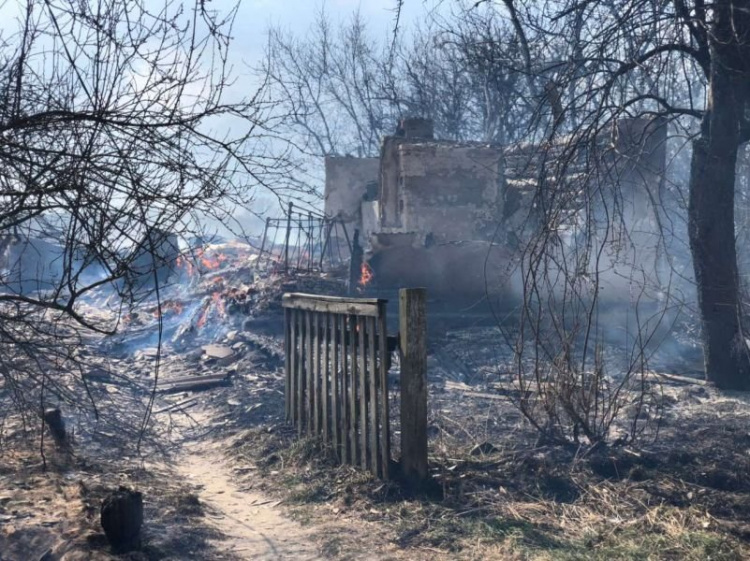 В Житомирской области из-за возгорания сухой травы выгорела улица