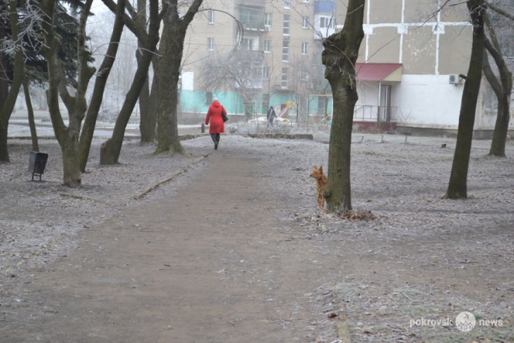 В Мирнограде бездомные собаки нападают на прохожих