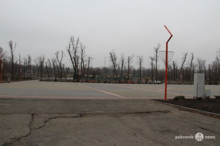 Главную елку Покровска планируют установить не на площади Шибанкова
