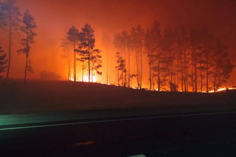 Кількість жертв пожеж на Луганщині збільшилась