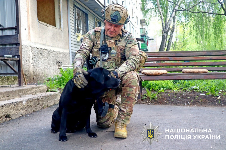 Покровськ у травні 2025 показала поліція Донеччини