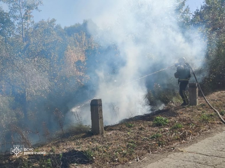 29 вересня вогнеборці приборкували вогонь у Дачному та Покровську