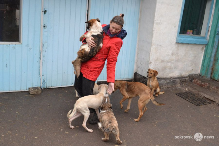Мирноградское общество защиты животных просит помочь в покупке дома для реабилитационного центра
