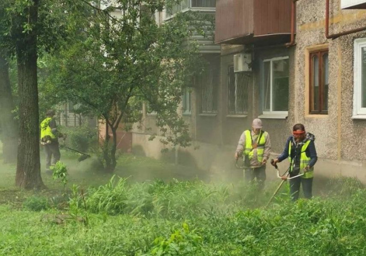 У Покровську комунальники активно борються з травою