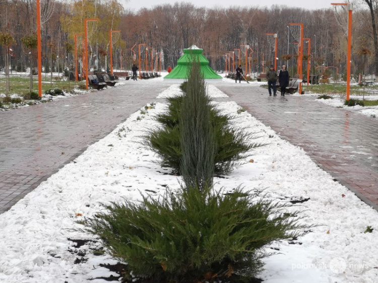 Предприниматели помогают озеленять парк «Юбилейный» в Покровске