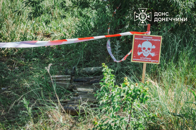 У Покровському районі піротехніки ДСНС вилучили з водойми 12 вибухонебезпечних предметів